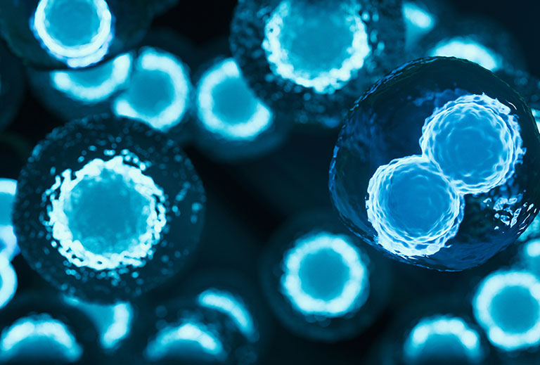 Ensuring Future Viability: Cryometrix’s Advanced Stem Cell Storage Solutions